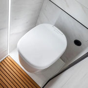 Clesana C1 Toilet with round swivel base